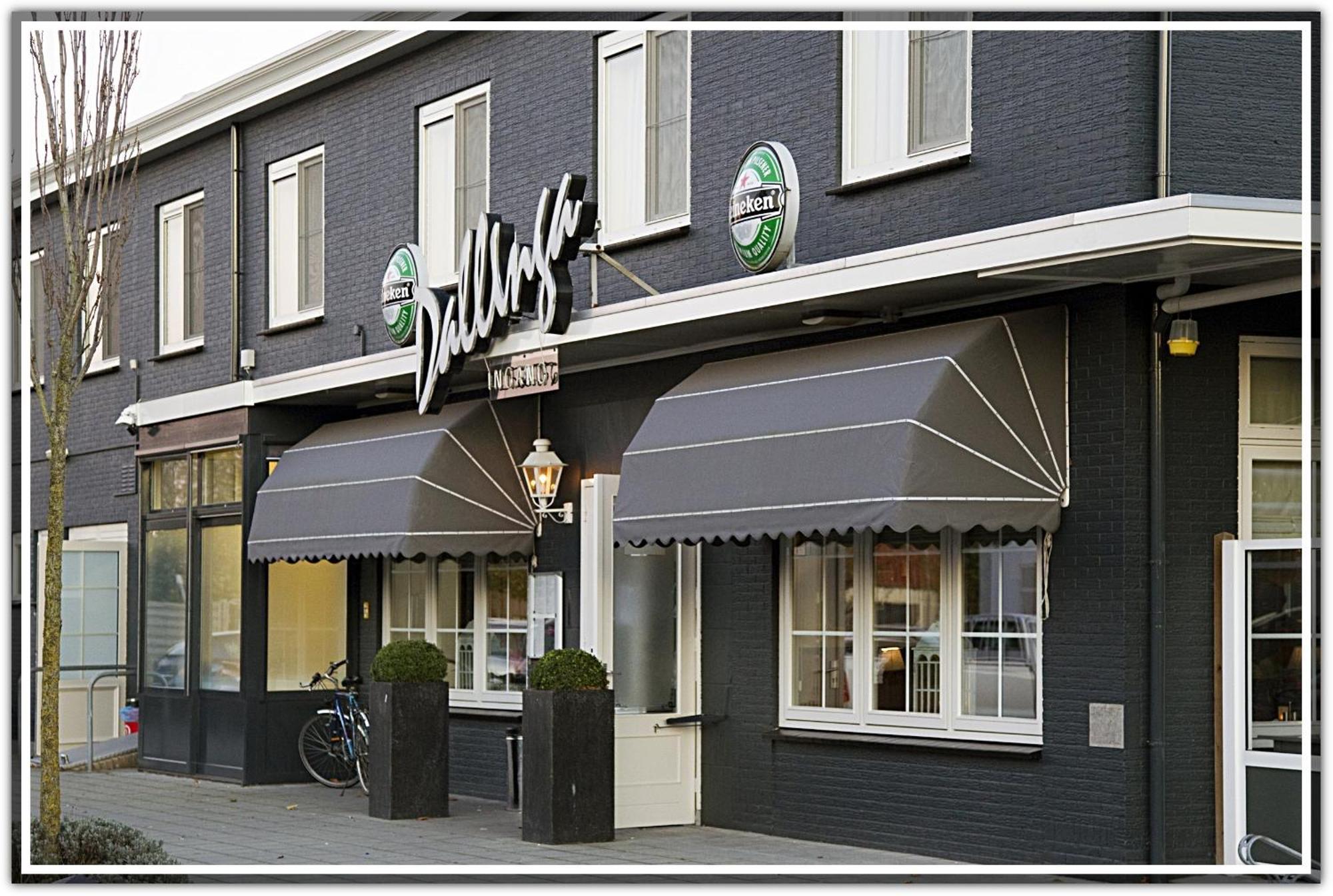 Hotel Dallinga 3*